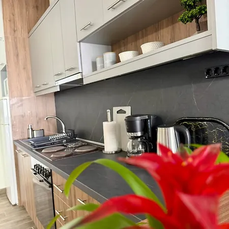 Apartament Sonia